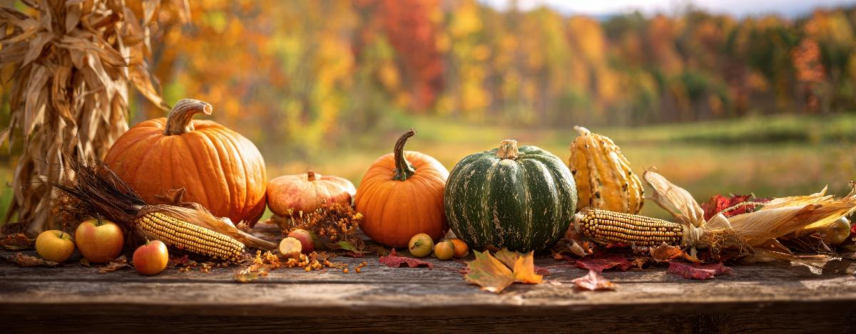 autumn-fall-pumpkins-corn-apples-gourds