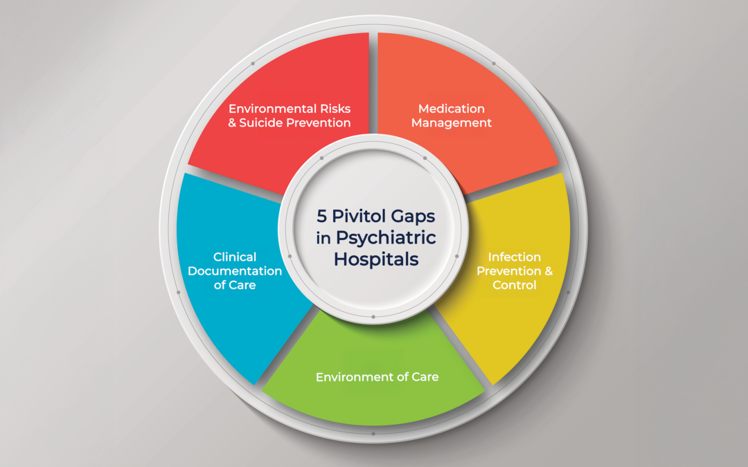 psychiatric hospital patient safety gaps